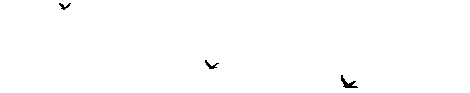 rz10