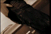 MJJProductionsInc_21.gif