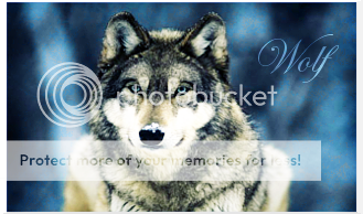 wolf.png