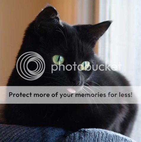Posted Image